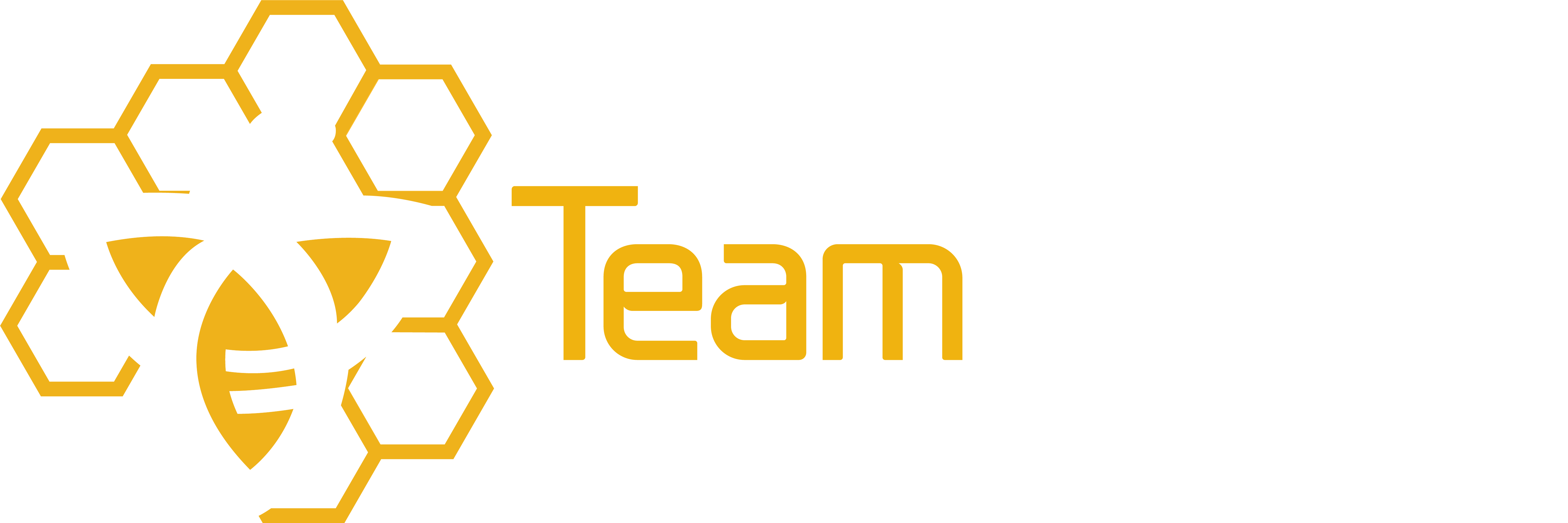 TeamWorx Security