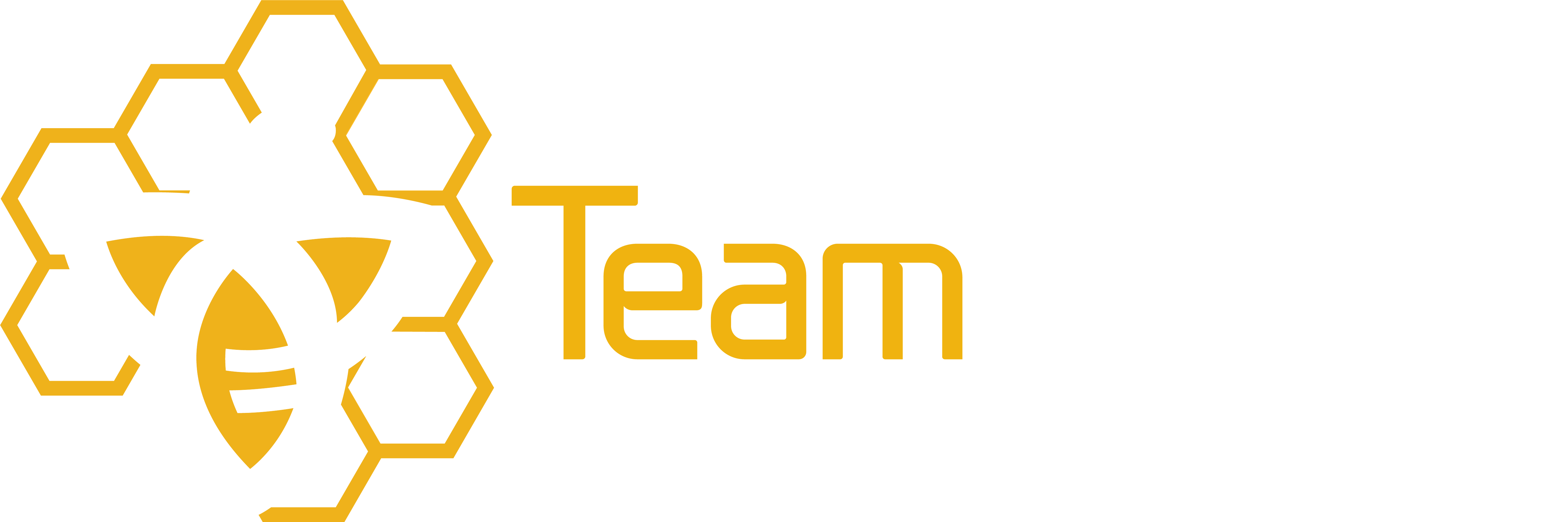 TeamWorx Security